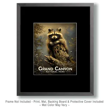Raccoon Kit - Grand Canyon Souvenir Art Prints - 8"x10" Artwork for 11"x14" Frame