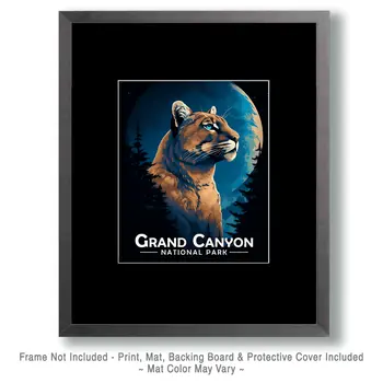 Midnight Mountain Lion - Grand Canyon Souvenir Art Prints - 8"x10" Artwork for 11"x14" Frame