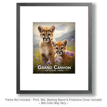 Mountain Lion Cubs - Grand Canyon Souvenir Art Prints - 8"x10" Artwork for 11"x14" Frame