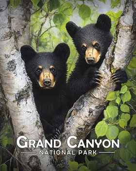 Two Bear Cubs - Grand Canyon Souvenir Art Prints - 8"x10" Artwork for 11"x14" Frame