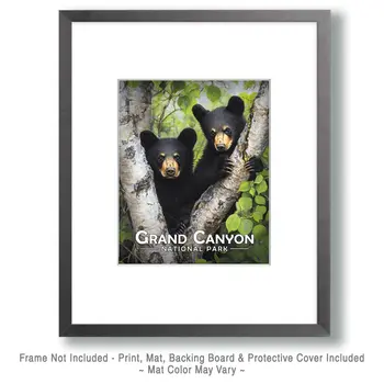 Two Bear Cubs - Grand Canyon Souvenir Art Prints - 8"x10" Artwork for 11"x14" Frame