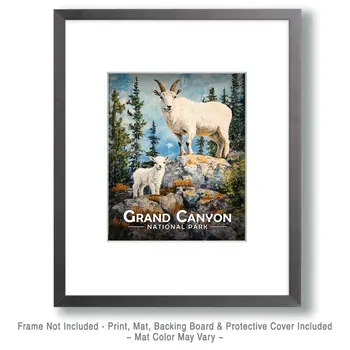 Mountain Goat & Baby - Grand Canyon Souvenir Art Prints - 8"x10" Artwork for 11"x14" Frame