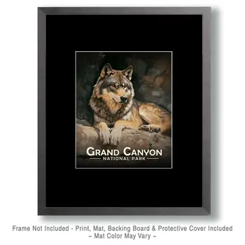 Relaxing Wolf - Grand Canyon Souvenir Art Prints - 8"x10" Artwork for 11"x14" Frame