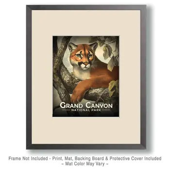 Antique Style Mountain Lion - Grand Canyon Souvenir Art Prints - 8"x10" Artwork for 11"x14" Frame