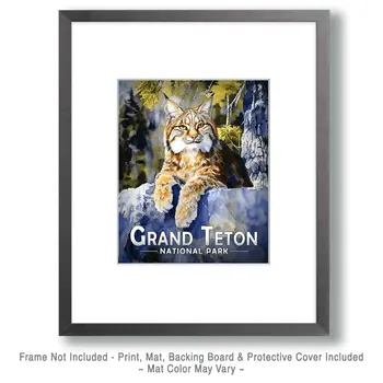 Canadian Lynx - Grand Tetons Souvenir Art Prints - 8"x10" Artwork for 11"x14" Frame