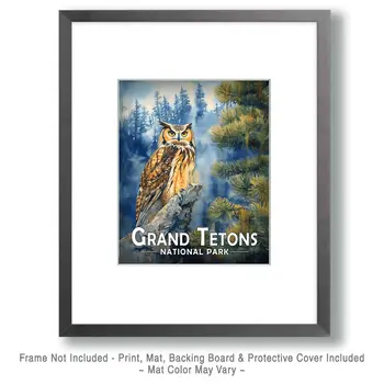Great Horned Owl - Grand Tetons Souvenir Art Prints - 8"x10" Artwork for 11"x14" Frame