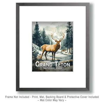 Elk by Creek - Grand Tetons Souvenir Art Prints - 8"x10" Artwork for 11"x14" Frame