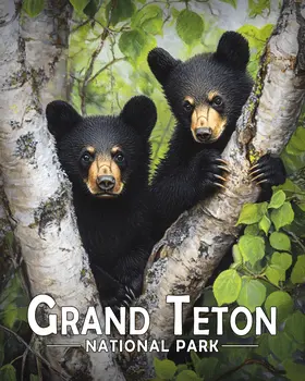 Two Bear Cubs - Grand Tetons Souvenir Art Prints - 8"x10" Artwork for 11"x14" Frame