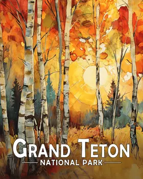 Birch Forest - Grand Tetons Souvenir Art Prints - 8"x10" Artwork for 11"x14" Frame