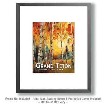 Birch Forest - Grand Tetons Souvenir Art Prints - 8"x10" Artwork for 11"x14" Frame