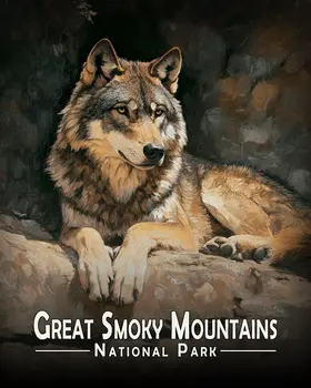 Resting Grey Wolf - Great Smoky Mountains Souvenir Art Prints - 8"x10" Artwork for 11"x14" Frame