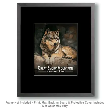 Resting Grey Wolf - Great Smoky Mountains Souvenir Art Prints - 8"x10" Artwork for 11"x14" Frame