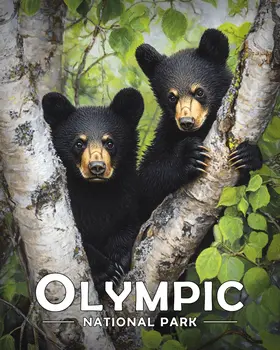 Two Bear Cubs - Olympic Souvenir Art Prints - 8"x10" Artwork for 11"x14" Frame
