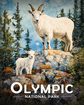 Mountain Goat and Baby - Olympic Souvenir Art Prints - 8"x10" Artwork for 11"x14" Frame