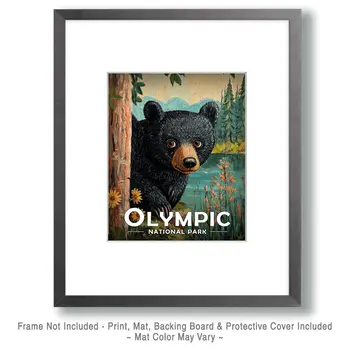 Peek-a-Boo Bear - Olympic Souvenir Art Prints - 8"x10" Artwork for 11"x14" Frame