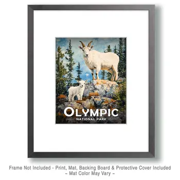 Mountain Goat and Baby - Olympic Souvenir Art Prints - 8"x10" Artwork for 11"x14" Frame