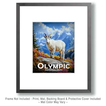 Mountain Goat - Olympic Souvenir Art Prints - 8"x10" Artwork for 11"x14" Frame