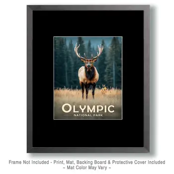 Bull Elk - Olympic Souvenir Art Prints - 8"x10" Artwork for 11"x14" Frame
