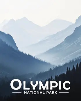 Misty Mountain Morning - Olympic Souvenir Art Prints - 8"x10" Artwork for 11"x14" Frame
