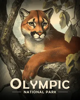 Antique Style Mountain Lion - Olympic Souvenir Art Prints - 8"x10" Artwork for 11"x14" Frame