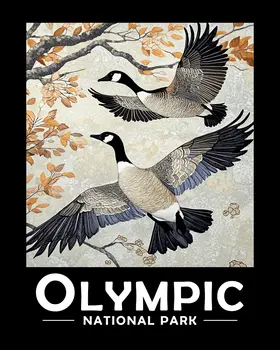 Canadian Geese in Flight - Olympic Souvenir Art Prints - 8"x10" Artwork for 11"x14" Frame