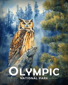 Alert Great Horned Owl - Olympic Souvenir Art Prints - 8"x10" Artwork for 11"x14" Frame