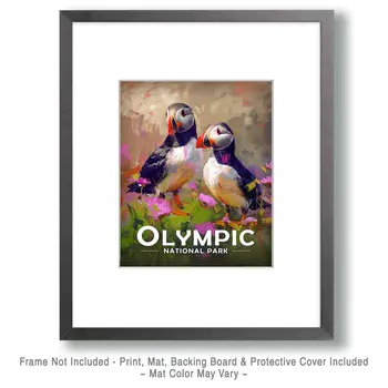 Pair of Puffins - Olympic Souvenir Art Prints - 8"x10" Artwork for 11"x14" Frame