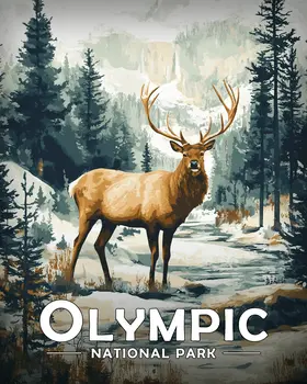 Standing Bull Elk - Olympic Souvenir Art Prints - 8"x10" Artwork for 11"x14" Frame