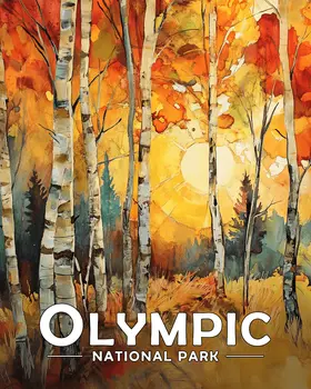 Bright Sunny Morning - Olympic Souvenir Art Prints - 8"x10" Artwork for 11"x14" Frame