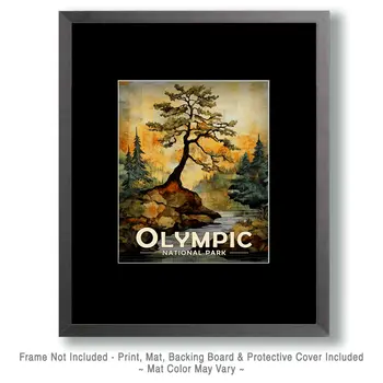 Old Juniper - Olympic Souvenir Art Prints - 8"x10" Artwork for 11"x14" Frame