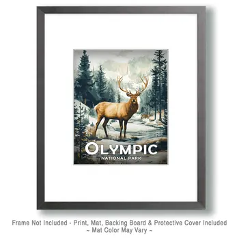 Standing Bull Elk - Olympic Souvenir Art Prints - 8"x10" Artwork for 11"x14" Frame