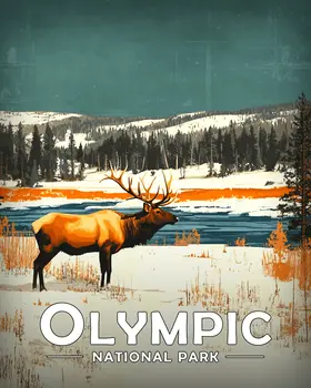 Elk in Snow - Olympic Souvenir Art Prints - 8"x10" Artwork for 11"x14" Frame