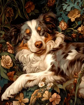 Sleepy Australian Shepherd - Pet Dog Still Life Wall Art Prints – 8″x10″ Artwork for 11″x14″ Frame