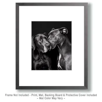 Great Dane Friends - Pet Dog Still Life Wall Art Prints – 8″x10″ Artwork for 11″x14″ Frame