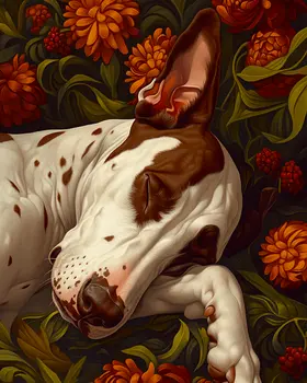 Sleeping Great Dane - Pet Dog Still Life Wall Art Prints – 8″x10″ Artwork for 11″x14″ Frame