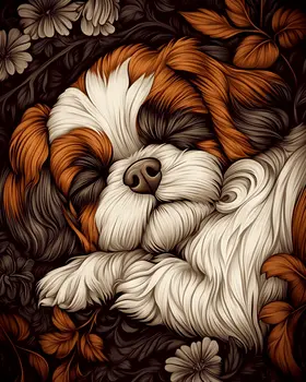 Sleeping Shih Tzu - Pet Dog Still Life Wall Art Prints – 8″x10″ Artwork for 11″x14″ Frame