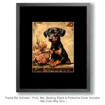 Cute Doberman Pinscher Puppy - Pet Dog Still Life Wall Art Prints – 8″x10″ Artwork for 11″x14″ Frame