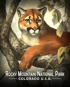 Vintage Mountain Lion - Rocky Mountain Souvenir Art Prints - 8"x10" Artwork for 11"x14" Frame