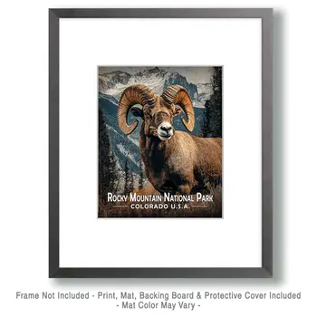 Bighorn Ram - Rocky Mountain Souvenir Art Prints - 8"x10" Artwork for 11"x14" Frame