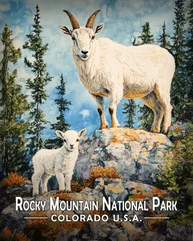 Mother & Baby Mountain Goat - Rocky Mountain Souvenir Art Prints - 8"x10" Artwork for 11"x14" Frame