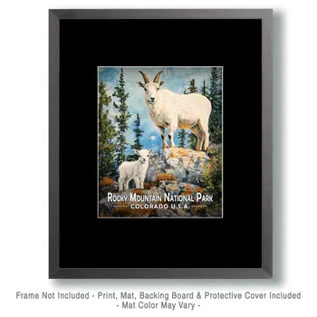 Mother & Baby Mountain Goat - Rocky Mountain Souvenir Art Prints - 8"x10" Artwork for 11"x14" Frame