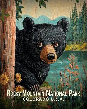 Folk Art Bear Cub - Rocky Mountain Souvenir Art Prints - 8"x10" Artwork for 11"x14" Frame