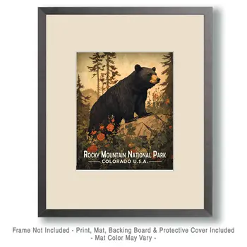Antique Black Bear - Rocky Mountain Souvenir Art Prints - 8"x10" Artwork for 11"x14" Frame