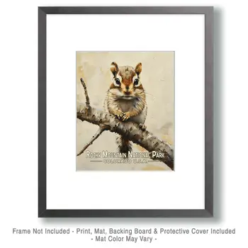 Baby Chipmunk - Rocky Mountain Souvenir Art Prints - 8"x10" Artwork for 11"x14" Frame