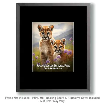 Mountain Lion Cubs - Rocky Mountain Souvenir Art Prints - 8"x10" Artwork for 11"x14" Frame