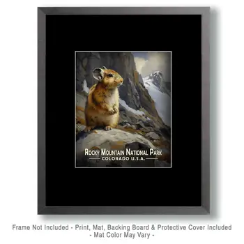 Alert Pika - Rocky Mountain Souvenir Art Prints - 8"x10" Artwork for 11"x14" Frame