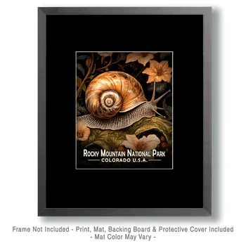 Woodland Snail - Rocky Mountain Souvenir Art Prints - 8"x10" Artwork for 11"x14" Frame
