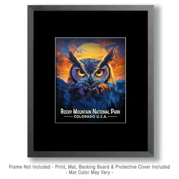 Midnight Owl  - Rocky Mountain Souvenir Art Prints - 8"x10" Artwork for 11"x14" Frame