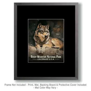 Relaxing Wolf - Rocky Mountain Souvenir Art Prints - 8"x10" Artwork for 11"x14" Frame