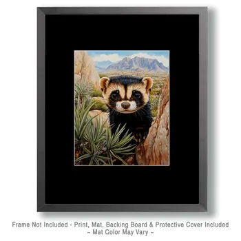 Blackfooted Ferret Peeking Out - American Southwest Art Prints - 8"x10" Artwork for 11"x14" Frame